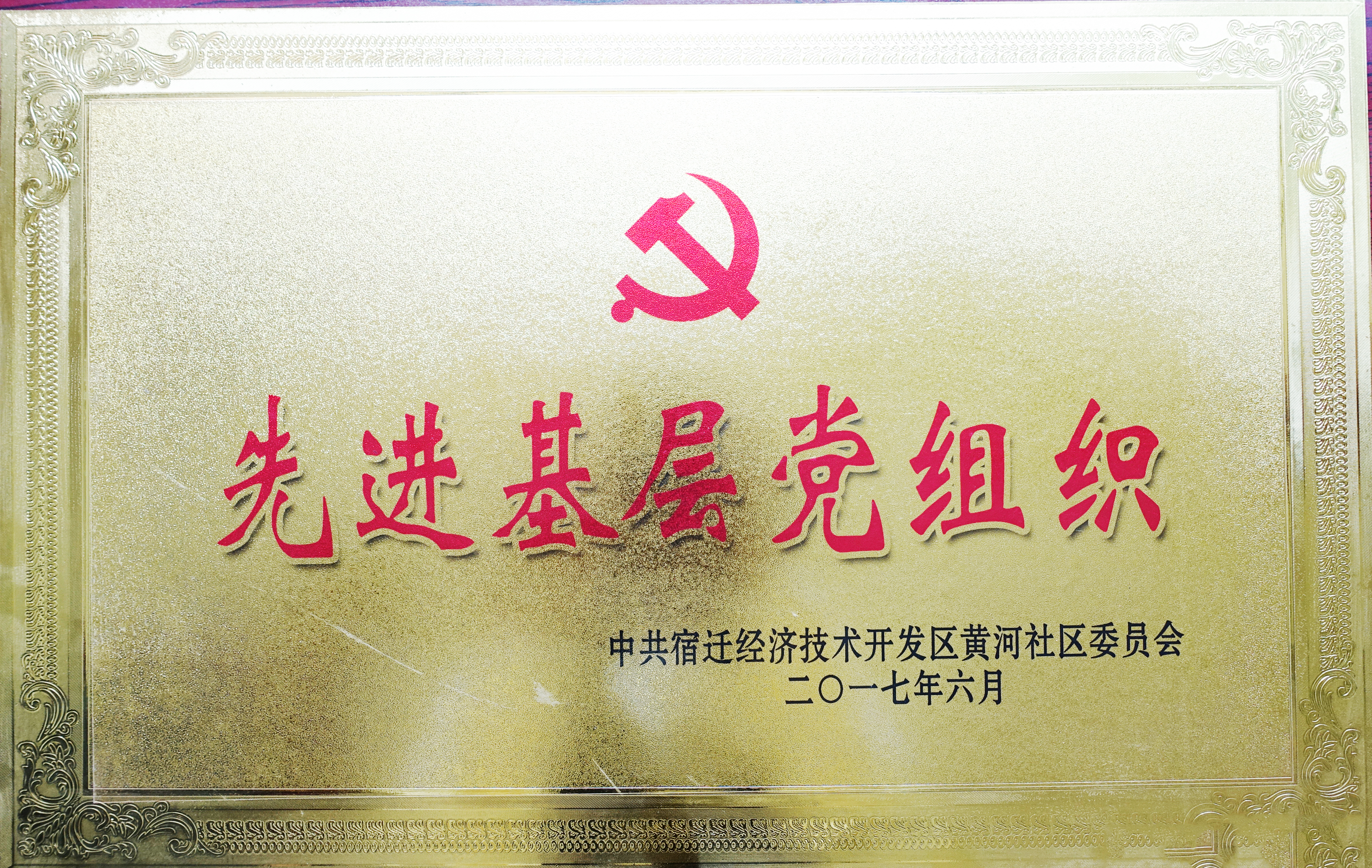 2016先進(jìn)基層黨組織 (2).jpg